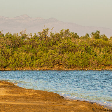 Lake texture detail three